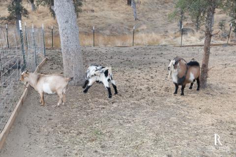 Iron Ranch