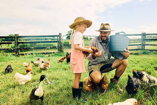 Ranch Classes at Iron Ranch