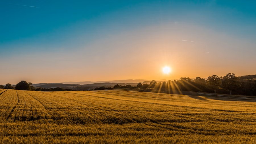 Dedicated ranch contact and customer support